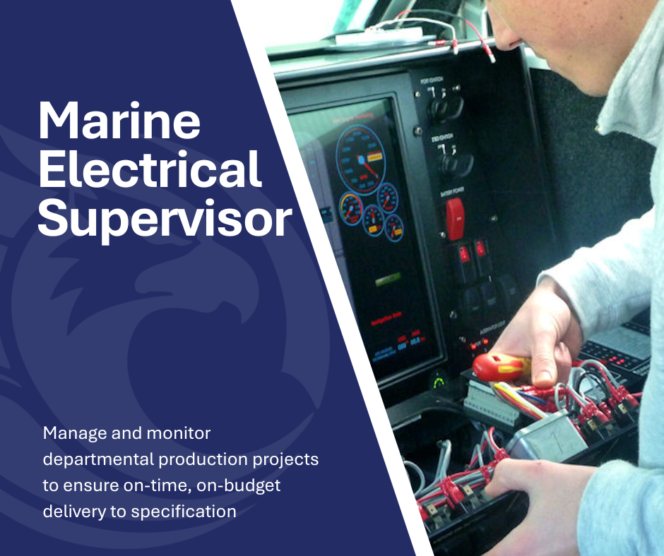Marine Electrical Supervisor