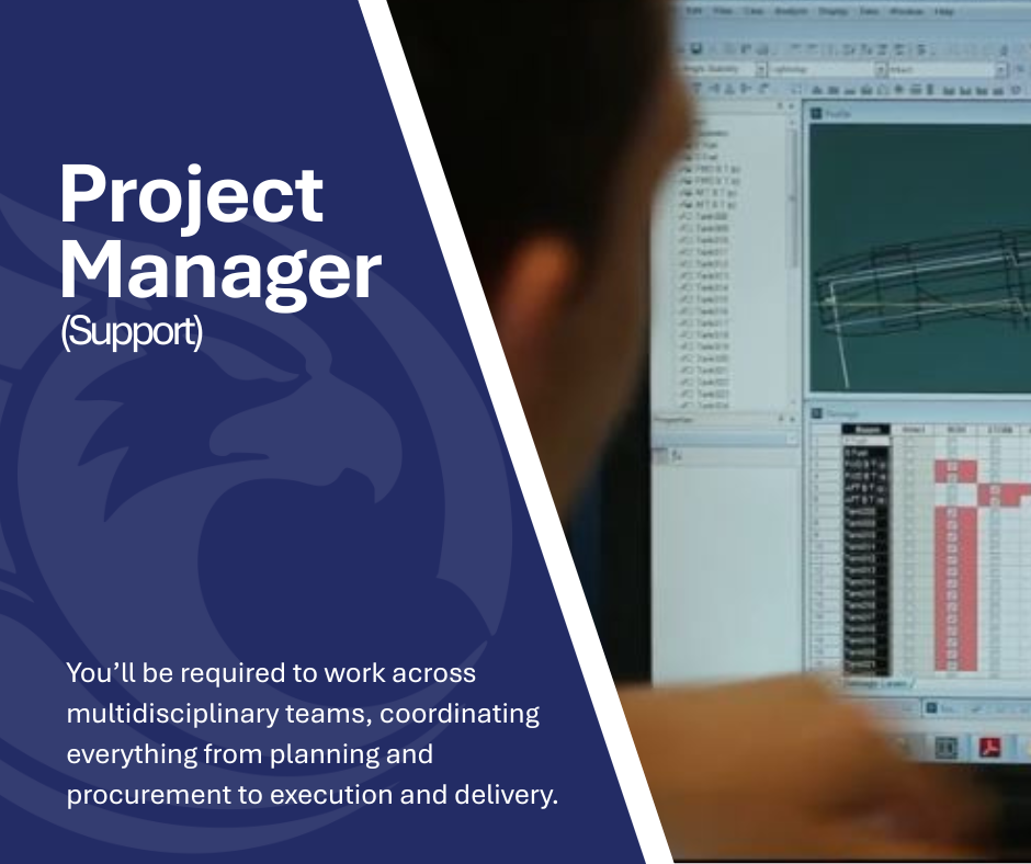Project Manger Support
